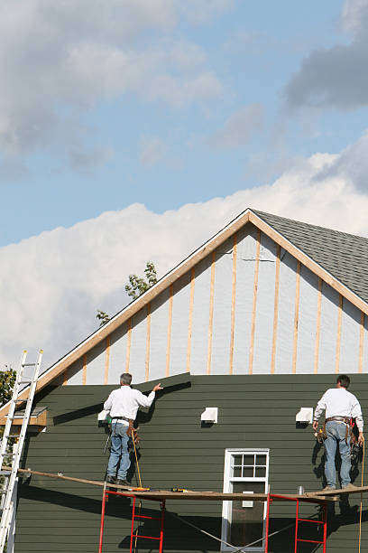 Best Siding Repair  in Carlinvle, IL