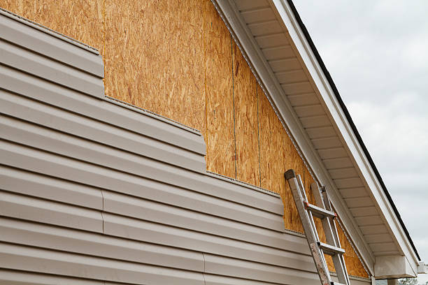 Best Residential Vinyl Siding Installation  in Carlinvle, IL